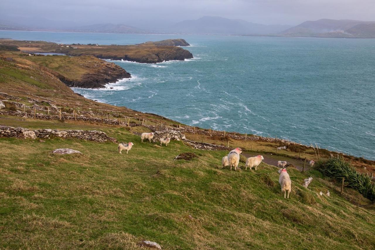 Skellig Port Accommodation - 1 Studio Bed Apartment Portmagee Luaran gambar