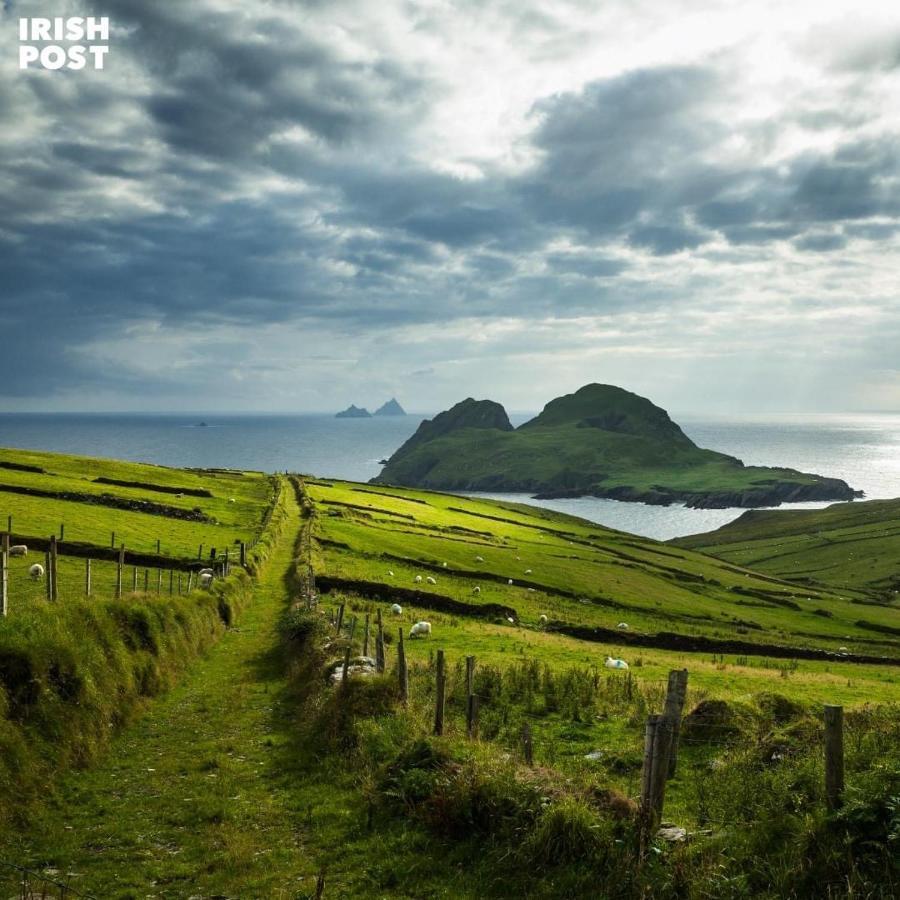 Skellig Port Accommodation - 1 Studio Bed Apartment Portmagee Luaran gambar